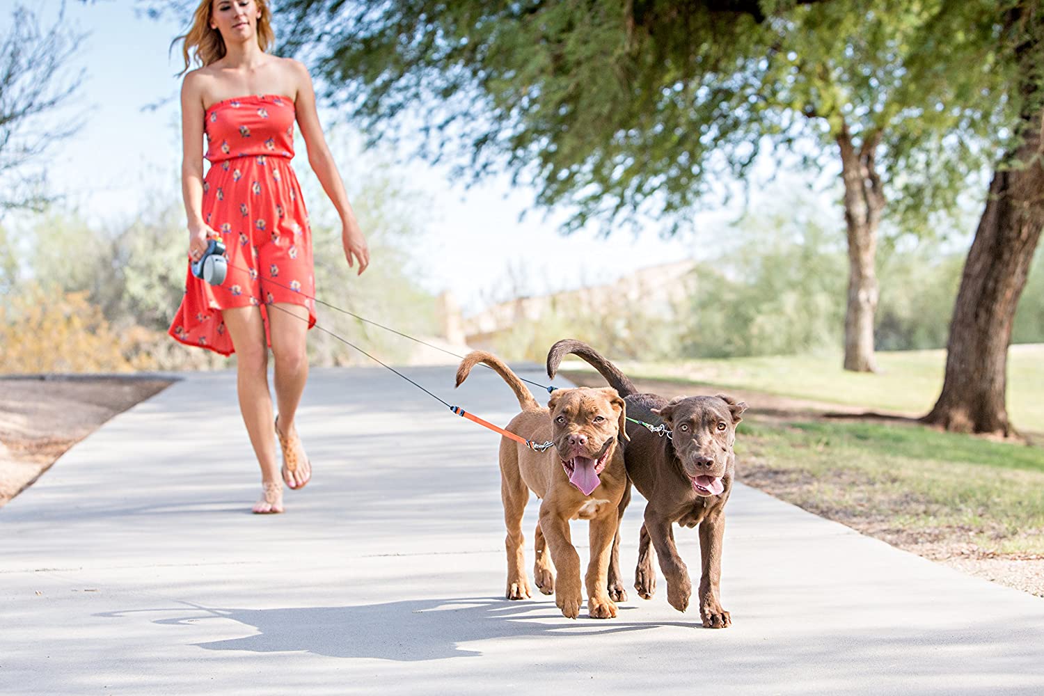 Dual Dog Flexi-Leine