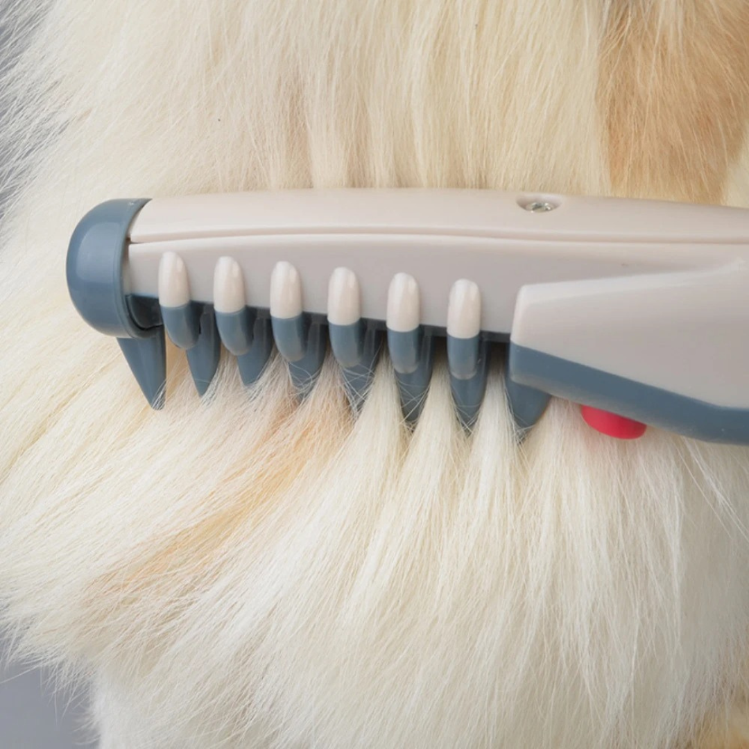 Keine Knoten und Verwicklungen mehr für Haustiere