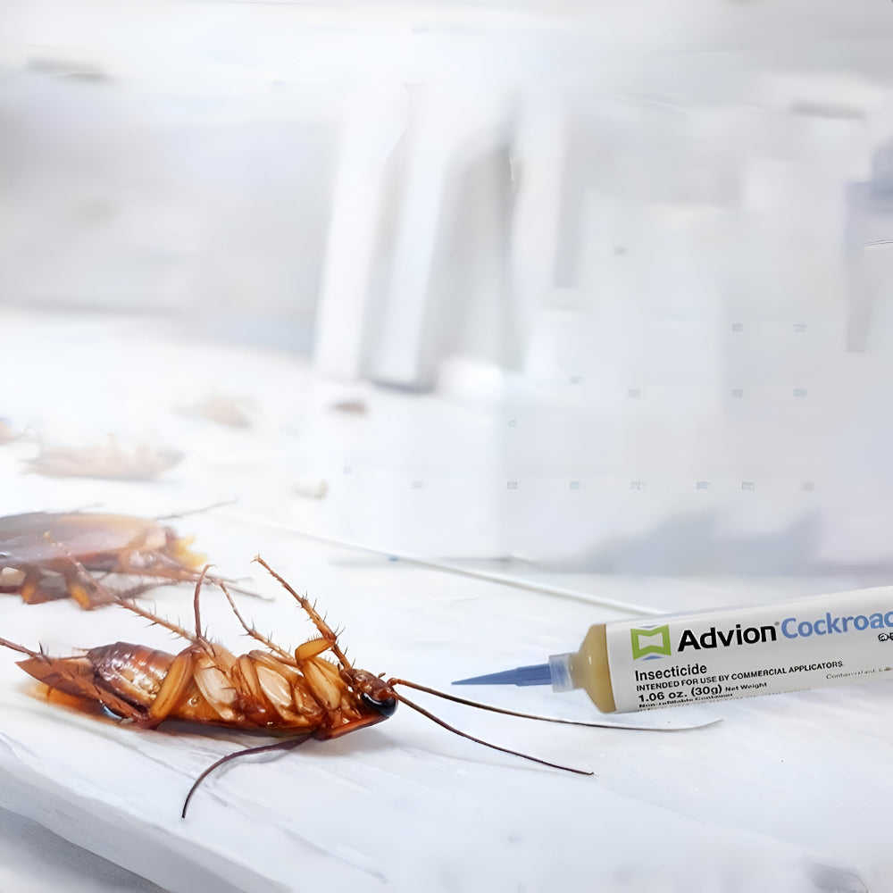 Kakerlaken-Gel-Bait Ungiftige Schädlingsbekämpfung Küche