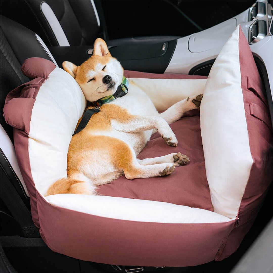 Hund Autositz | Hundesitz für die Rückbank | Hundetransportbox | Hundebox